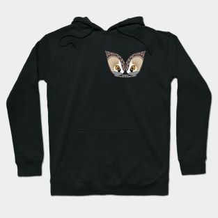 Northern Saw-whet Owl Eyes Hoodie